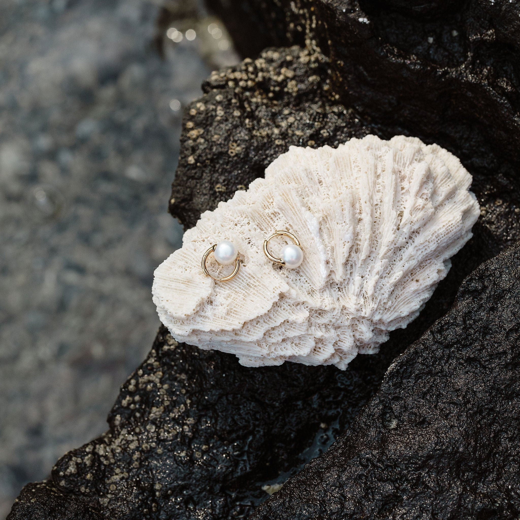 Bay Pearl Earrings